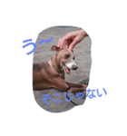 binkux97（個別スタンプ：3）