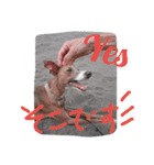 binkux97（個別スタンプ：4）