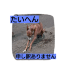 binkux97（個別スタンプ：8）