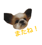 チロりん（個別スタンプ：15）