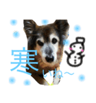 愉快なポンちゃん（個別スタンプ：14）