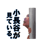 929（個別スタンプ：23）