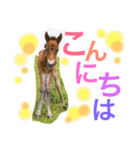 馬♡御崎馬 4（個別スタンプ：1）