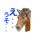 馬♡御崎馬 4（個別スタンプ：10）