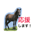 馬♡御崎馬 4（個別スタンプ：20）