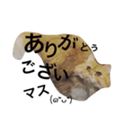 つくねのスタンプ②（個別スタンプ：12）