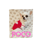 POCO＆JURRY（個別スタンプ：1）