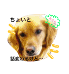 loveAINAchan（個別スタンプ：36）