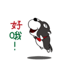 Mr. Oreo (Chinese)（個別スタンプ：1）