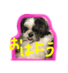 ごまさん②（個別スタンプ：2）
