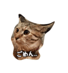 mugiwaracat"HIME"（個別スタンプ：11）
