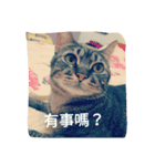 Emily and cat's life（個別スタンプ：7）