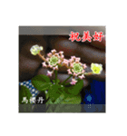 Beautiful flower greeting(Part 1)（個別スタンプ：4）