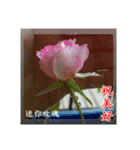 Beautiful flower greeting(Part 1)（個別スタンプ：6）