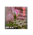 Beautiful flower greeting(Part 1)（個別スタンプ：9）