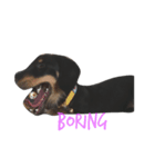 enjoy dachshund（個別スタンプ：8）