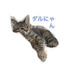 nono's kimochi（個別スタンプ：1）