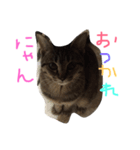 nono's kimochi（個別スタンプ：8）