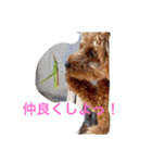 まーるのハッピーライフ（個別スタンプ：3）