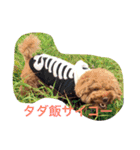 まーるのハッピーライフ（個別スタンプ：5）