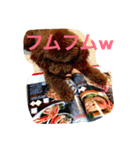 まーるのハッピーライフ（個別スタンプ：6）