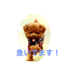 まーるのハッピーライフ（個別スタンプ：8）