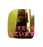 まーるのハッピーライフ（個別スタンプ：9）