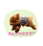 まーるのハッピーライフ（個別スタンプ：10）