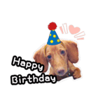 Lele happy dog（個別スタンプ：6）