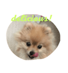 Taco Baby（個別スタンプ：2）