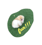 Taco Baby（個別スタンプ：8）