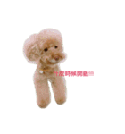 Cody's life（個別スタンプ：2）