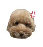 Cody's life（個別スタンプ：5）
