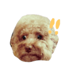 Cody's life（個別スタンプ：7）