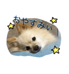 ぽめみくもの日常（個別スタンプ：5）