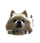 ぽめみくもの日常（個別スタンプ：10）
