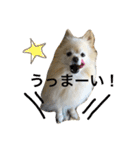 ぽめみくもの日常（個別スタンプ：24）