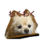 ぽめみくもの日常（個別スタンプ：29）