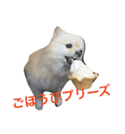 ぽめみくもの日常（個別スタンプ：31）