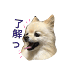 ぽめみくもの日常（個別スタンプ：32）