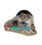 愛犬チップの日常（個別スタンプ：4）