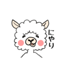 ましゅまるです。（個別スタンプ：34）