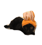 black and white cute cat（個別スタンプ：2）