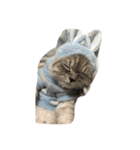 black and white cute cat（個別スタンプ：22）
