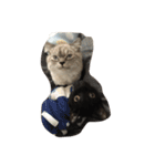 black and white cute cat（個別スタンプ：30）