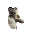 black and white cute cat（個別スタンプ：40）
