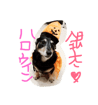 なし玉三兄弟（個別スタンプ：2）