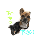 なし玉三兄弟（個別スタンプ：5）