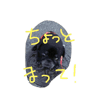 れん＆ひま（個別スタンプ：8）