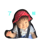 はるたん！スタンプ（個別スタンプ：2）
